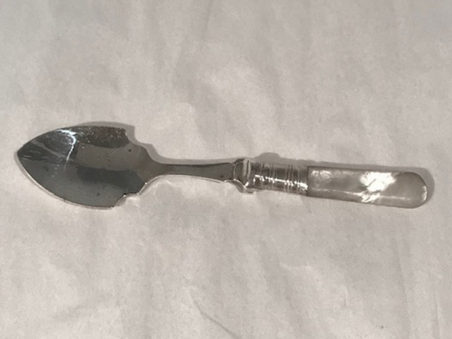Silver Plated Jam or Preserve Spoon with Mother of Pearl Handle