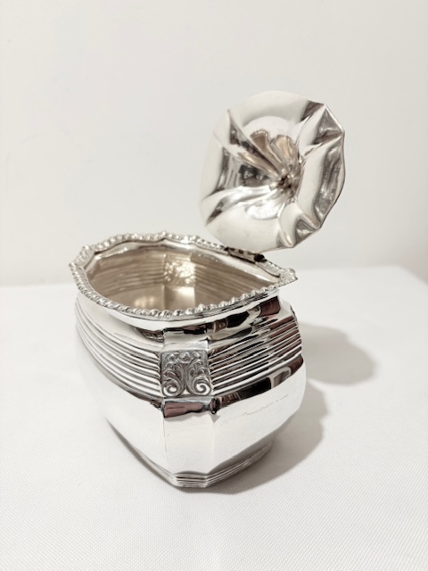 Antique Rectangular Silver Plated Tea Caddy