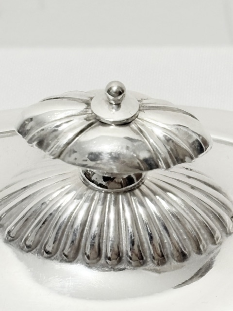 Antique Silver Plated Tea Caddy with Plain Bulbous Body Antique Silver Plated Tea Caddy with Plain Bulbous Body
