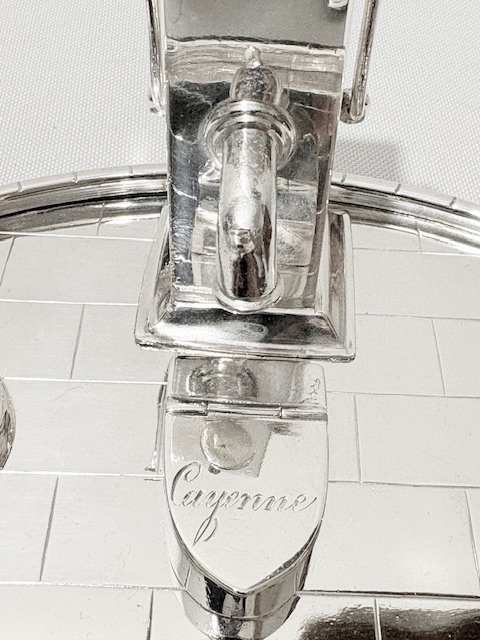 Novelty Victorian Silver Plated Farmyard Cruet