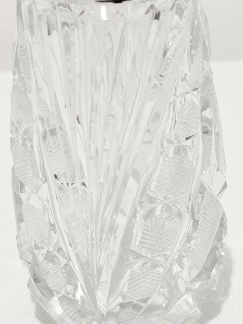 Antique Silver Plate and Cut Glass Sugar Shaker